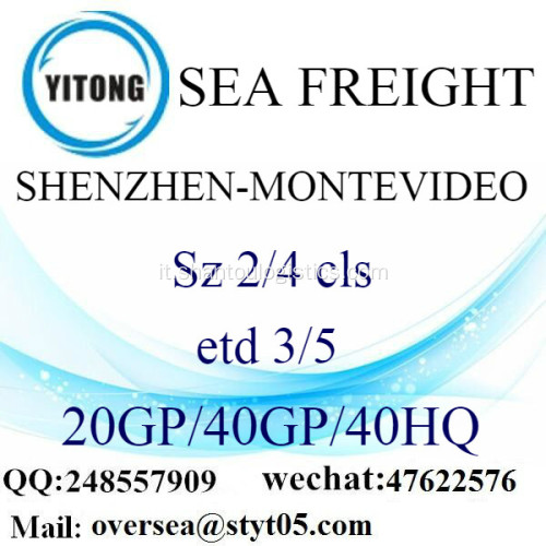 Shenzhen porto mare che spediscono a Montevideo